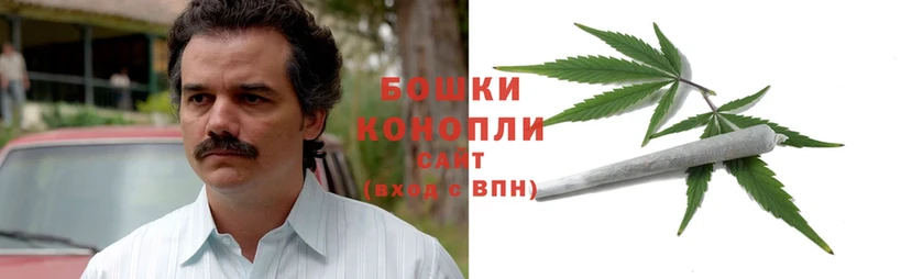 Каннабис OG Kush  Иланский 